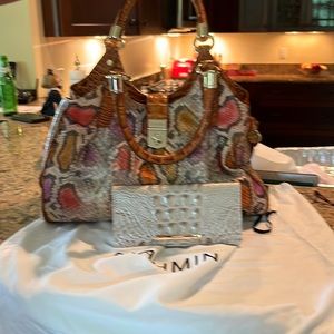 Brahmin snakeskin print  multicolor purse with tan wallet. Gently used/dust bag